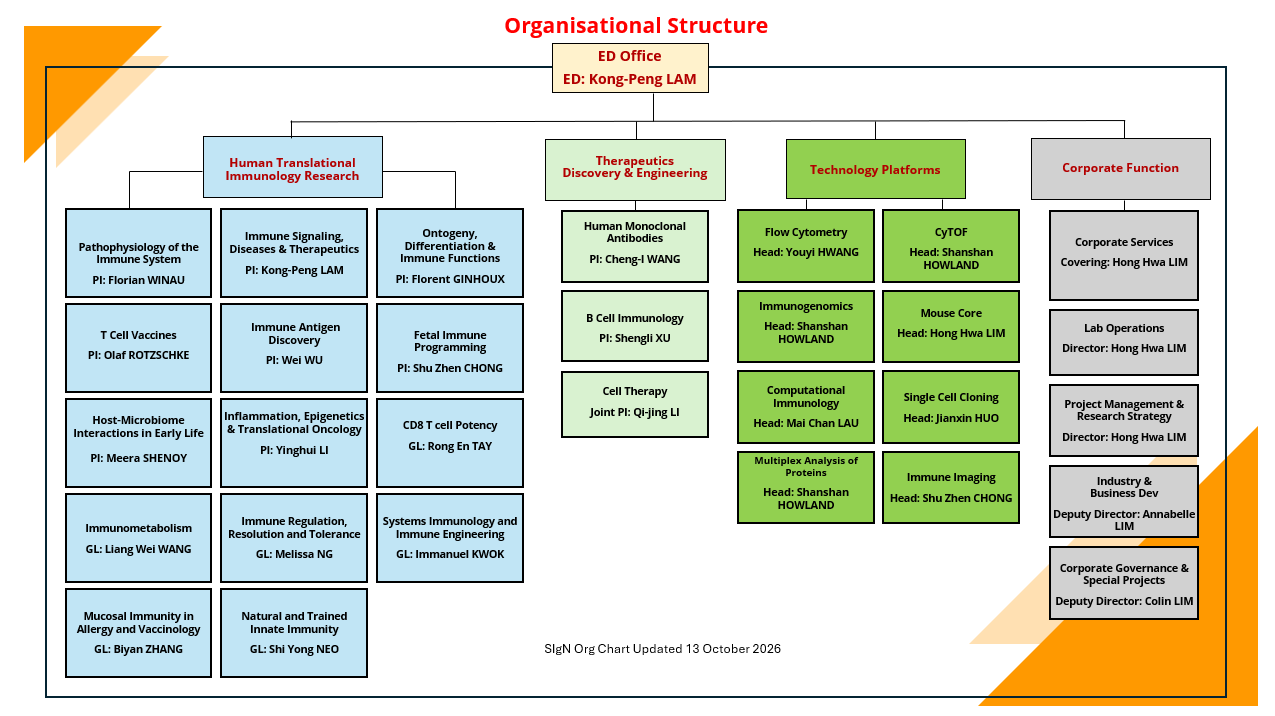 SIgN Organization Chart
